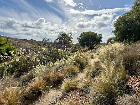 MMG - Nov 2025 - VER78