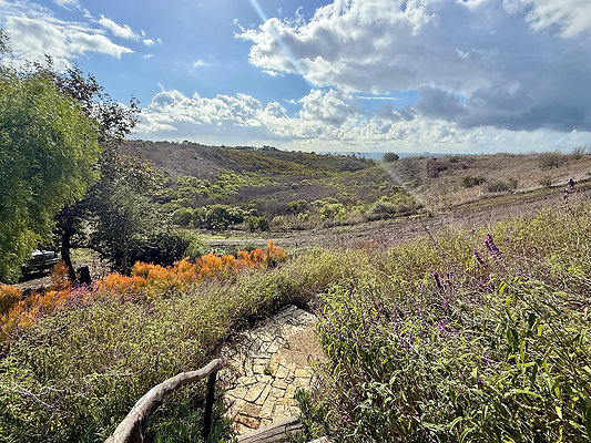 MMG - Nov 2025 - VER70