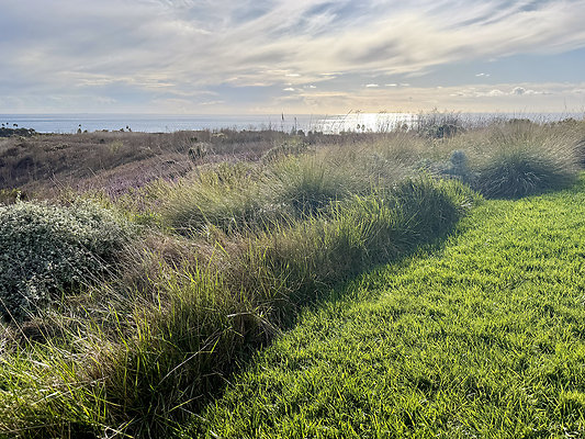 MMG - Nov 2025 - VER42