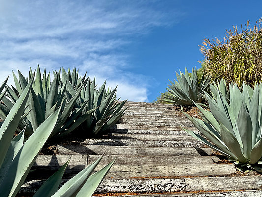 MMG - Nov 2025 - VER66