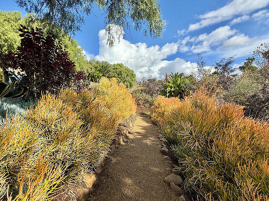 MMG - Nov 2025 - VER74