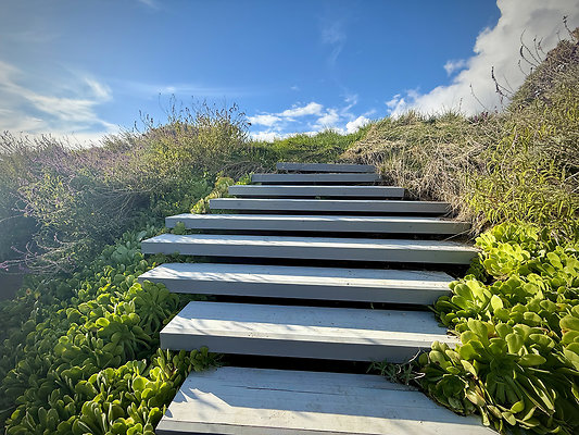 MMG - Nov 2025 - VER64