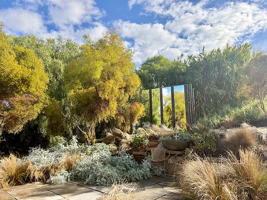 MMG - Nov 2025 - VER31