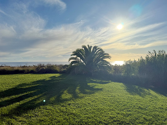 MMG - Nov 2025 - VER61