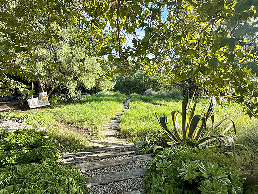 MMG - Nov 2025 - VER04