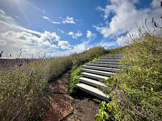 MMG - Nov 2025 - VER65