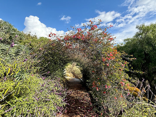 MMG - Nov 2025 - VER69