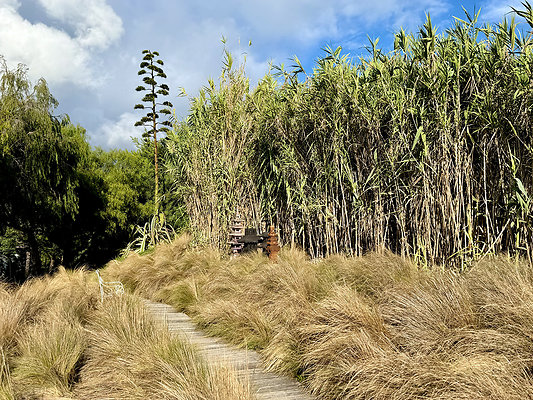 MMG - Nov 2025 - VER30