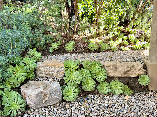 MMG - Nov 2025 - VER15