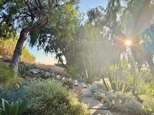 MMG - Nov 2025 - VER20