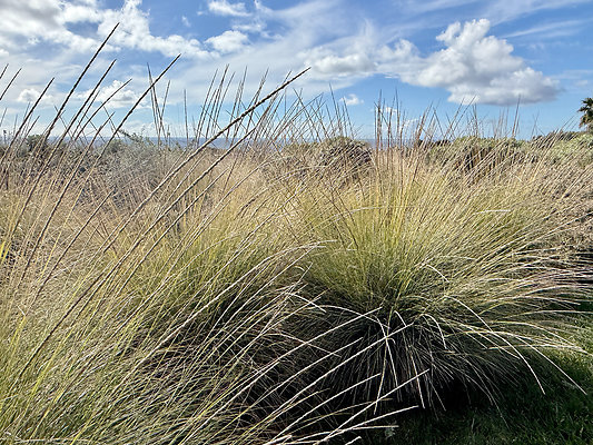 MMG - Nov 2025 - VER46