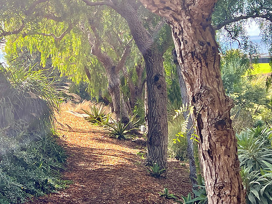 MMG - Nov 2025 - VER25