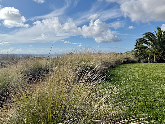 MMG - Nov 2025 - VER45