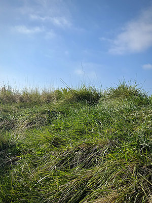 MMG - Nov 2025 - VER63