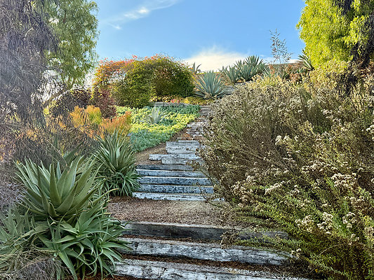 MMG - Nov 2025 - VER76