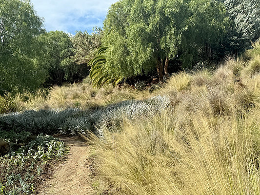 MMG - Nov 2025 - VER82