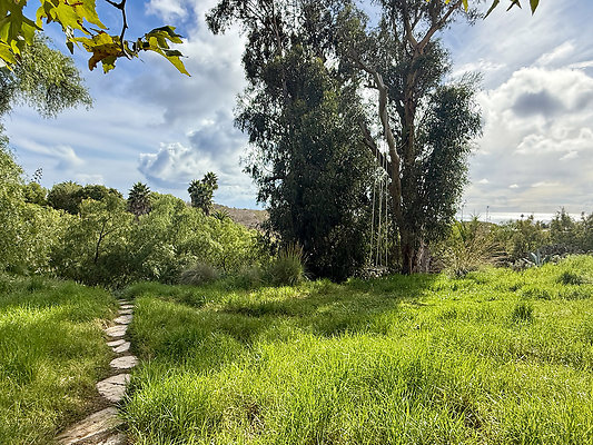 MMG - Nov 2025 - VER08