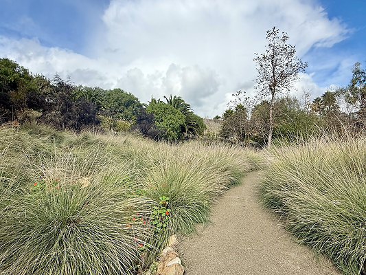 MMG - Nov 2025 - VER87