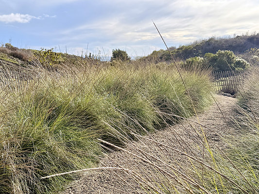 MMG - Nov 2025 - VER85