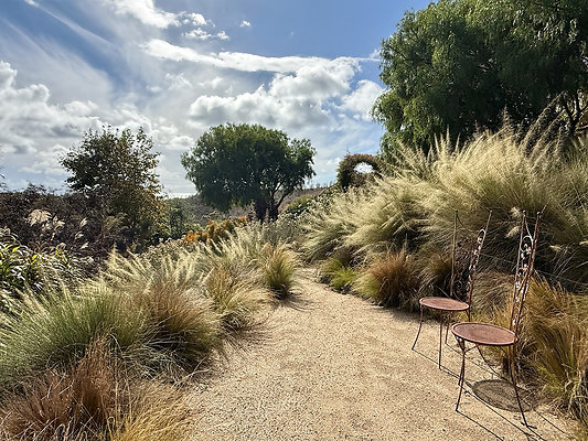 MMG - Nov 2025 - VER79