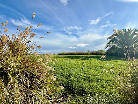 MMG - Nov 2025 - VER58