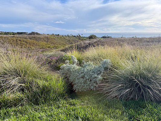 MMG - Nov 2025 - VER51