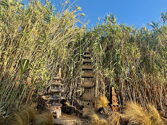 MMG - Nov 2025 - VER26