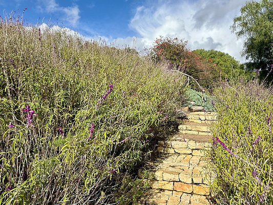 MMG - Nov 2025 - VER72