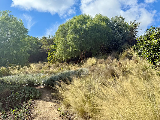 MMG - Nov 2025 - VER81