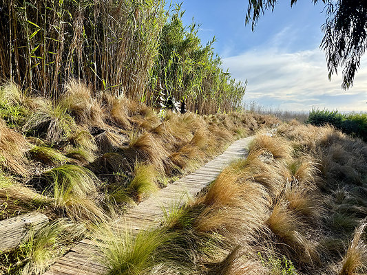 MMG - Nov 2025 - VER29