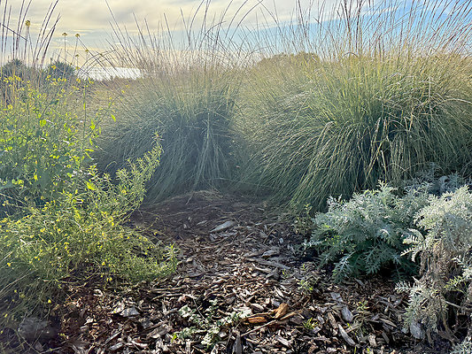 MMG - Nov 2025 - VER49