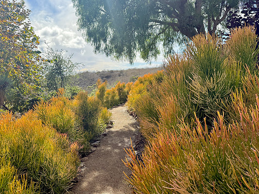 MMG - Nov 2025 - VER73