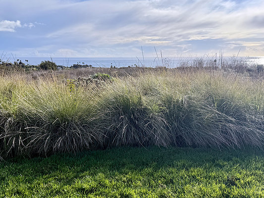 MMG - Nov 2025 - VER52