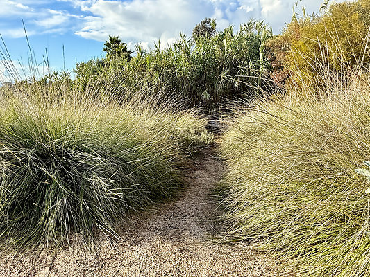 MMG - Nov 2025 - VER47