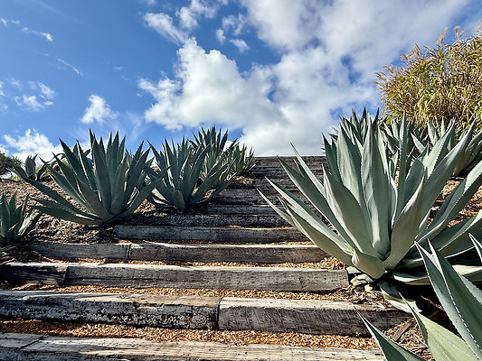 MMG - Nov 2025 - VER67