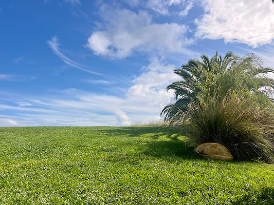 MMG - Nov 2025 - VER59