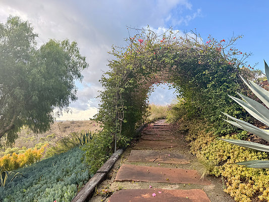 MMG - Nov 2025 - VER68