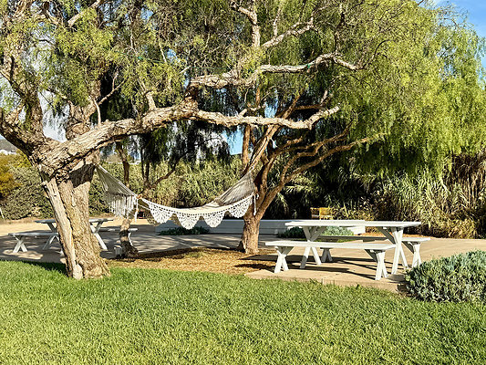 MMG - Nov 2025 - VER36