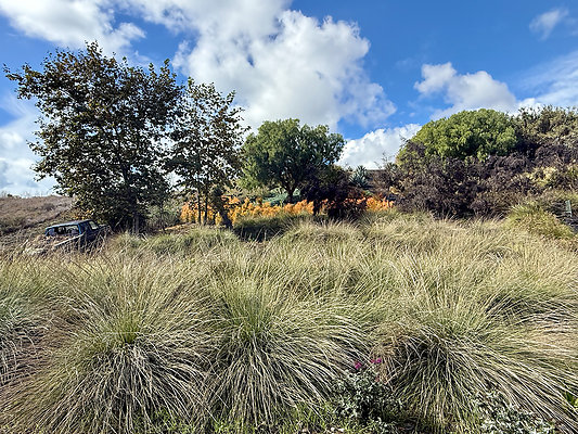 MMG - Nov 2025 - VER88