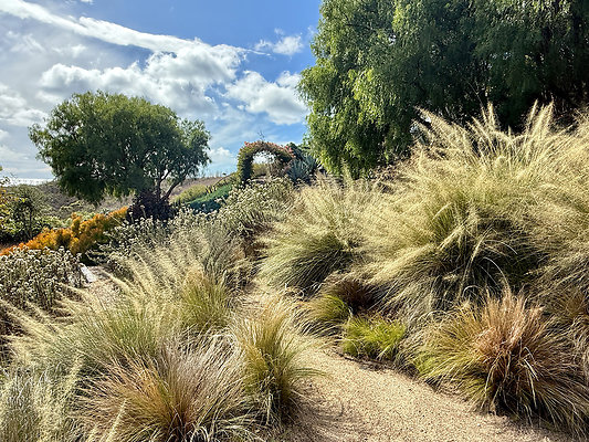 MMG - Nov 2025 - VER80