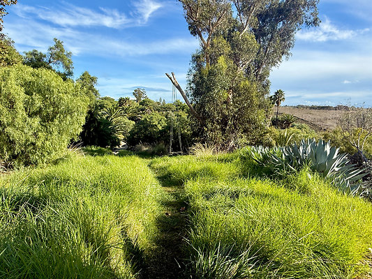 MMG - Nov 2025 - VER03