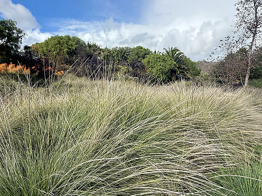 MMG - Nov 2025 - VER86