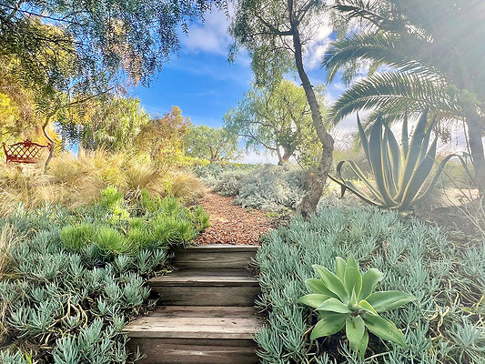 MMG - Nov 2025 - VER23