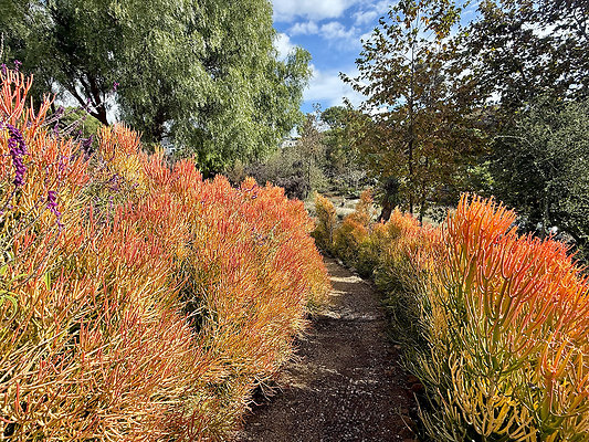 MMG - Nov 2025 - VER75