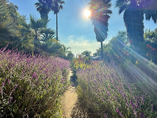 MMG - Nov 2025 - VER11