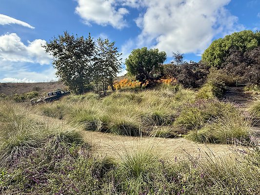 MMG - Nov 2025 - VER89