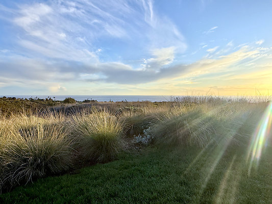 MMG - Nov 2025 - VER43