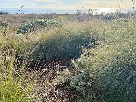 MMG - Nov 2025 - VER48