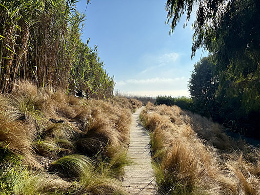 MMG - Nov 2025 - VER27