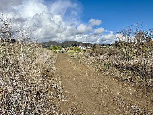 MMG - Nov 2025 - Path 06